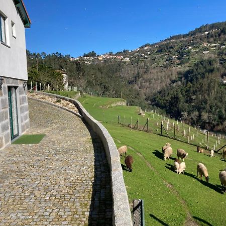Quinta De Varzielas - Agroturismo Castelo de Paiva Buitenkant foto