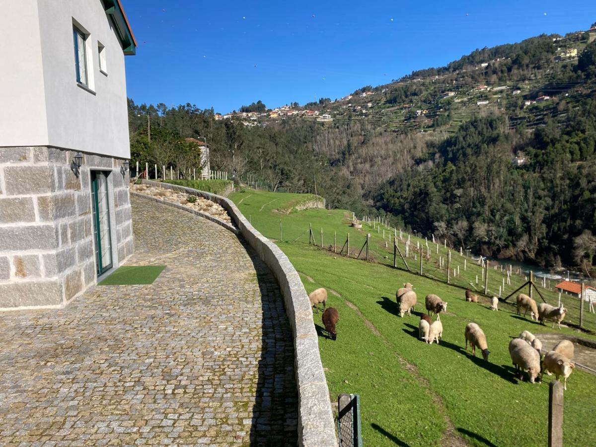Quinta De Varzielas - Agroturismo Castelo de Paiva Buitenkant foto