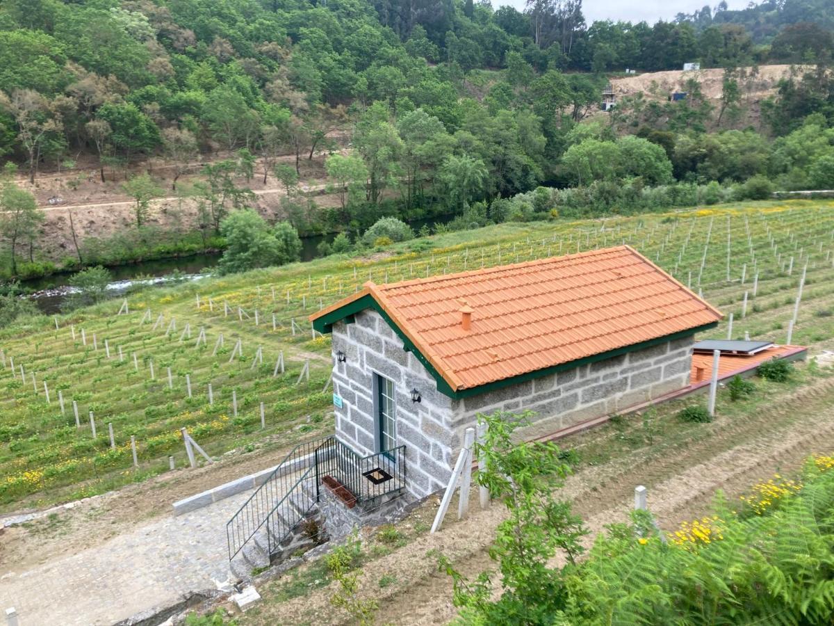 Quinta De Varzielas - Agroturismo Castelo de Paiva Buitenkant foto