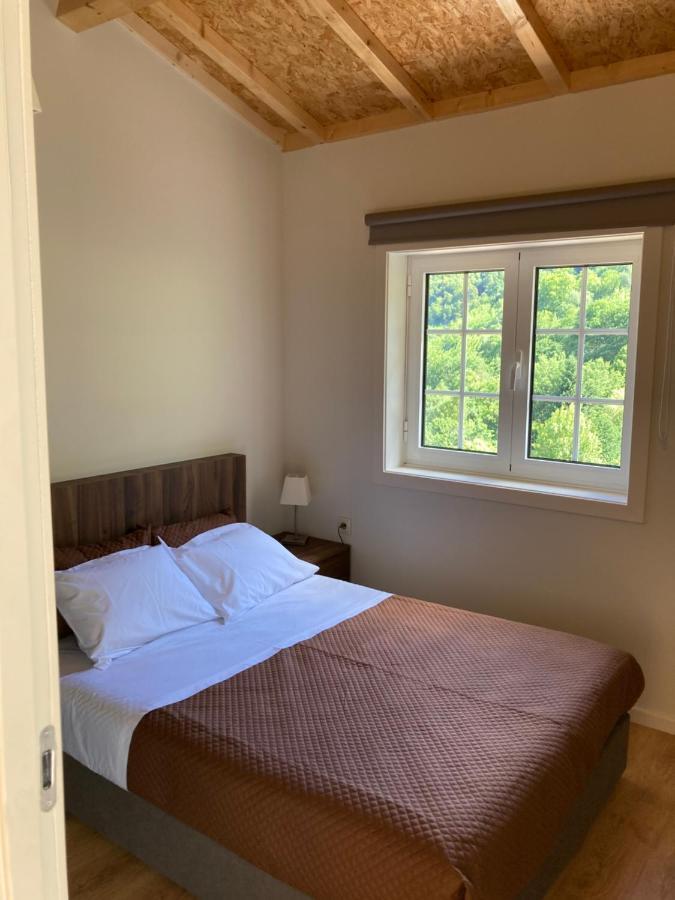Quinta De Varzielas - Agroturismo Castelo de Paiva Buitenkant foto