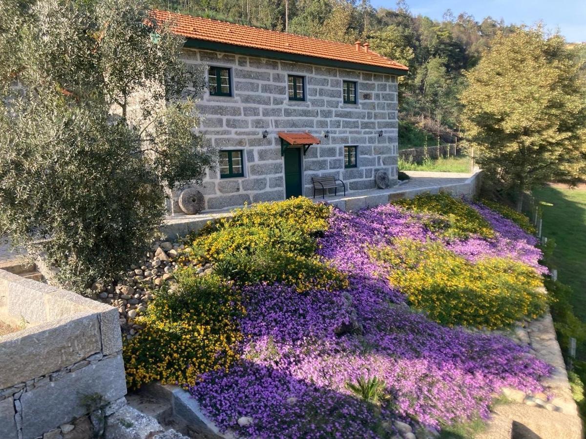 Quinta De Varzielas - Agroturismo Castelo de Paiva Buitenkant foto